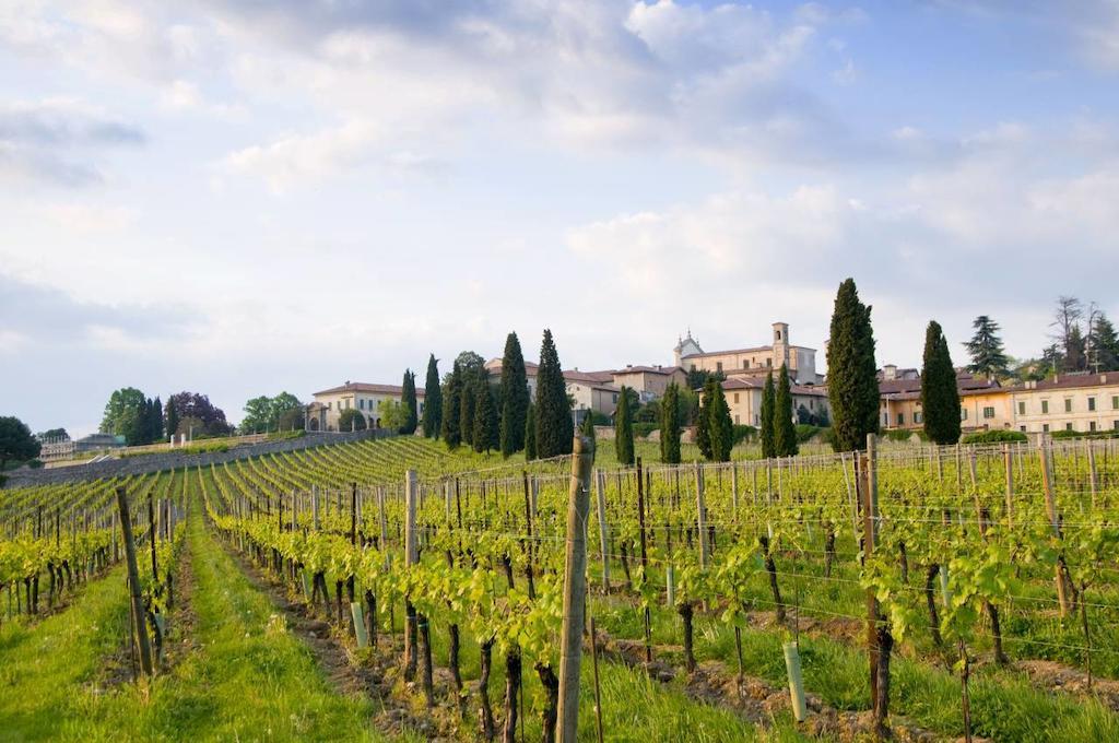 B&B Camignone Franciacorta Passirano Eksteriør bilde